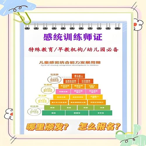 2026年國家承認的感統訓練師證書與教育信息咨詢指南