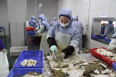 俄羅斯原料主導未來？琿春海產(chǎn)加工業(yè)迎來新動力