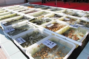南澳海鮮餐廳推新模式 取消加工費(fèi)，強(qiáng)化銷售品質(zhì)承諾